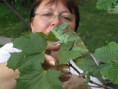 /album/ja-a-moje-zver/chameleon-agata-01-jpg/